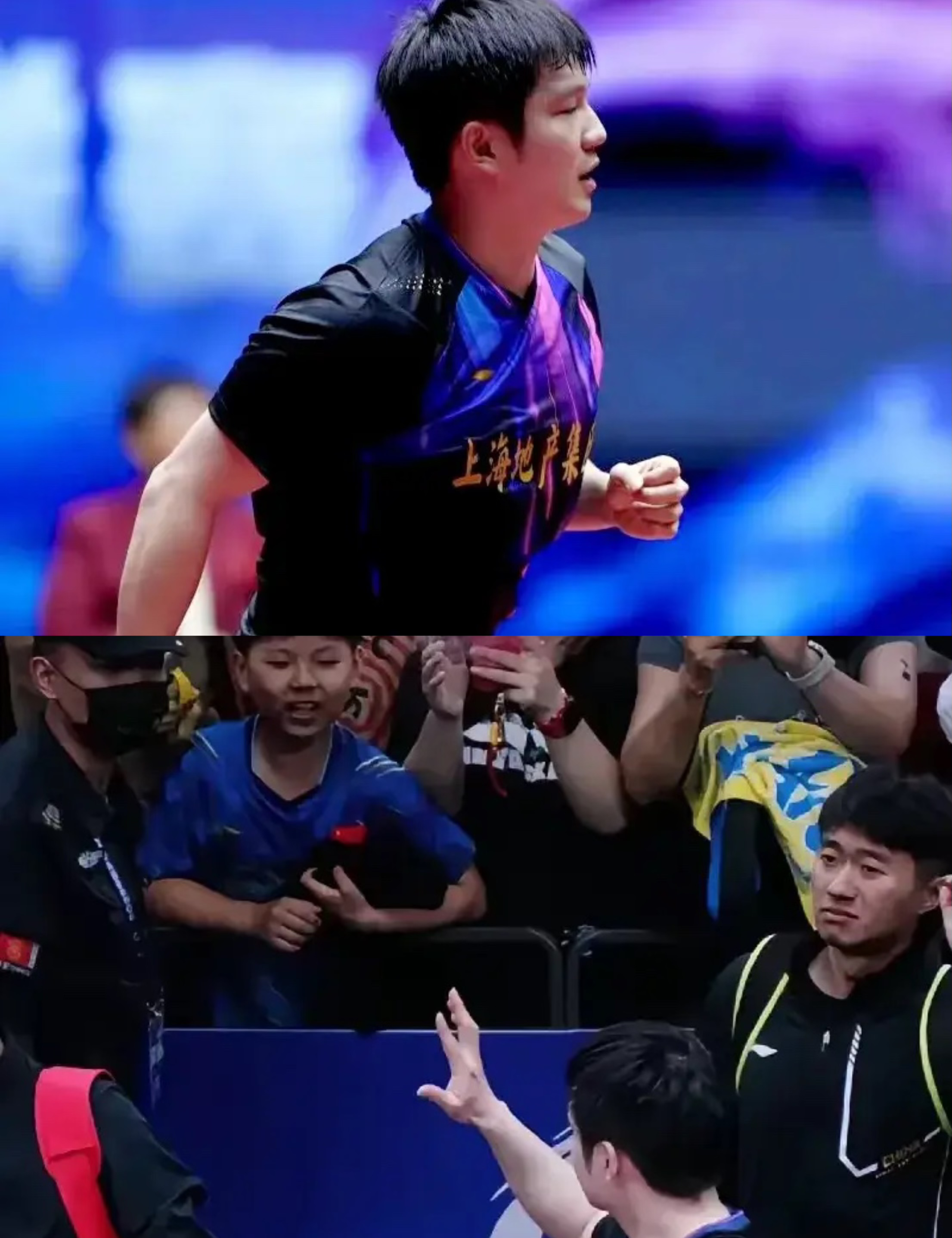 日本乒乓球队险胜比利时乒乓球队，樊振东制霸全场的简单介绍