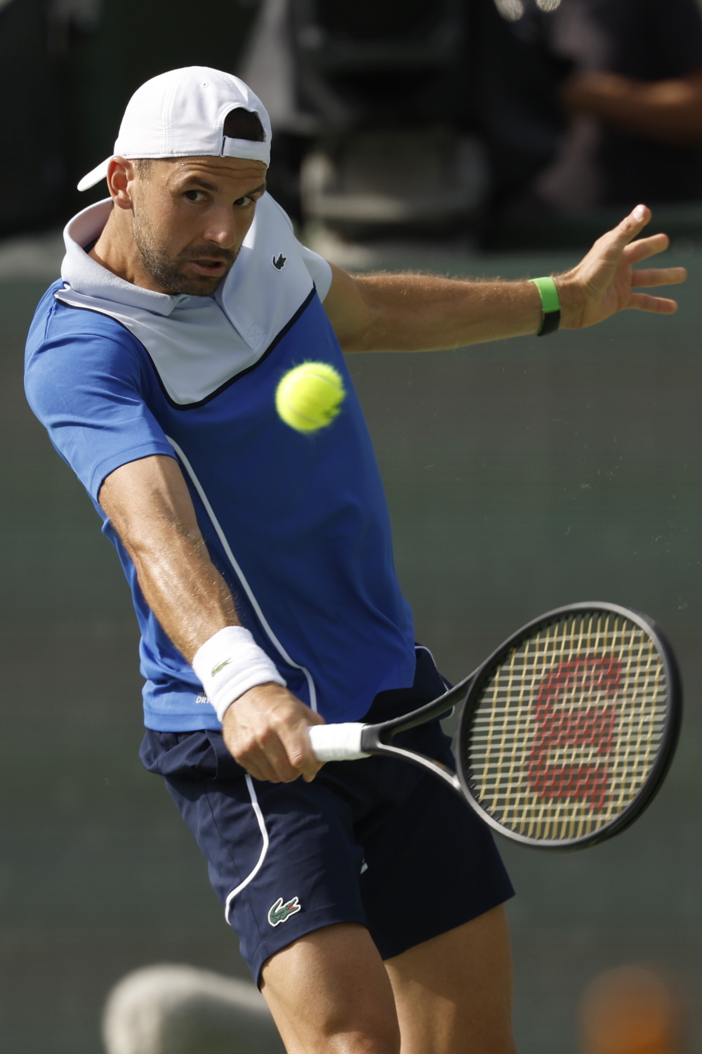 包含德国网球队碾压欧洲网球队，梅德韦杰夫打破历史纪录的词条