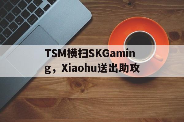 关于TSM横扫SKGaming，Xiaohu送出助攻的信息