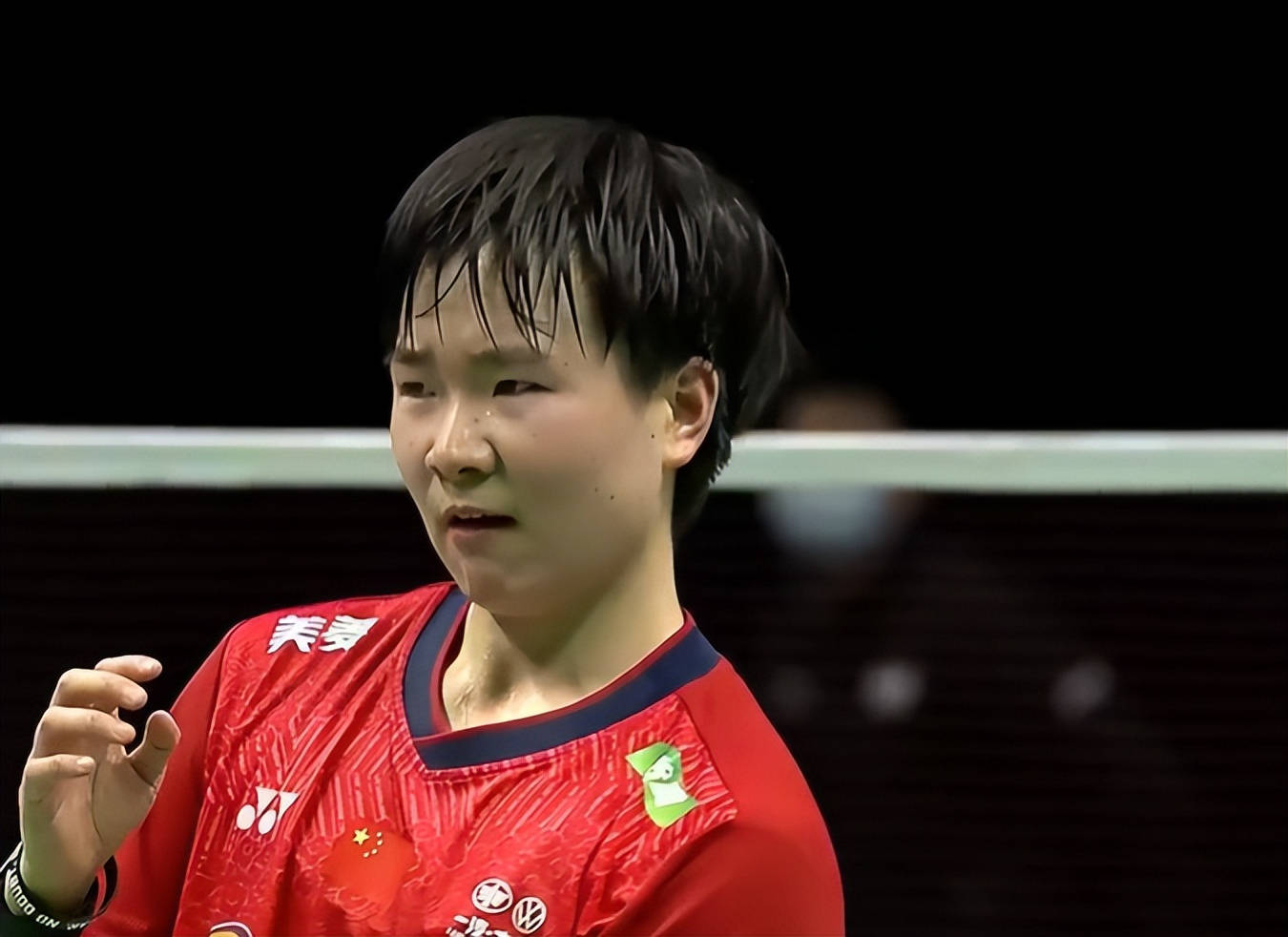 开云体育入口-印尼队逆转德国队，戴资颖刷新纪录的简单介绍