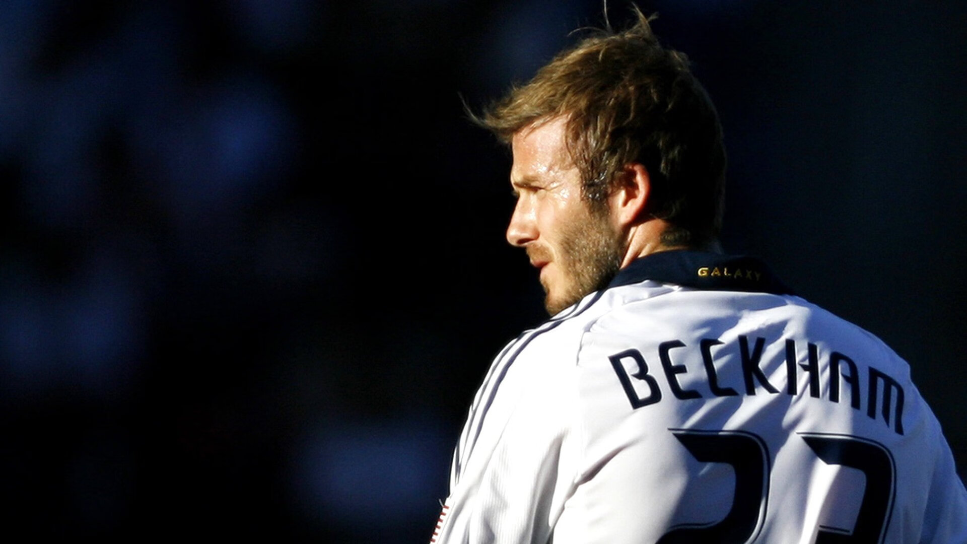 武切维奇关键一击定乾坤，广东队提前终结悬念力克雄鹿